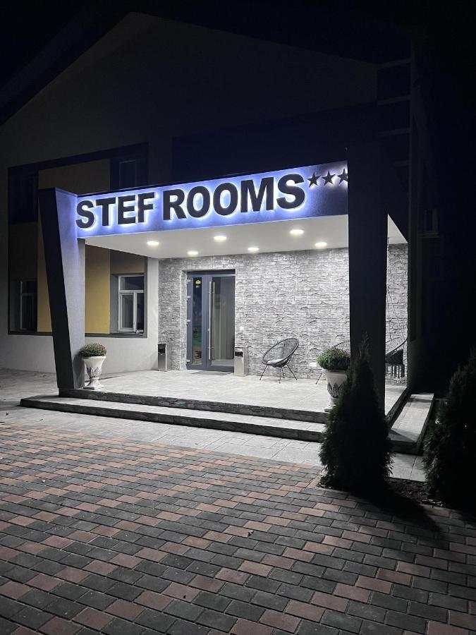 Stef 3*